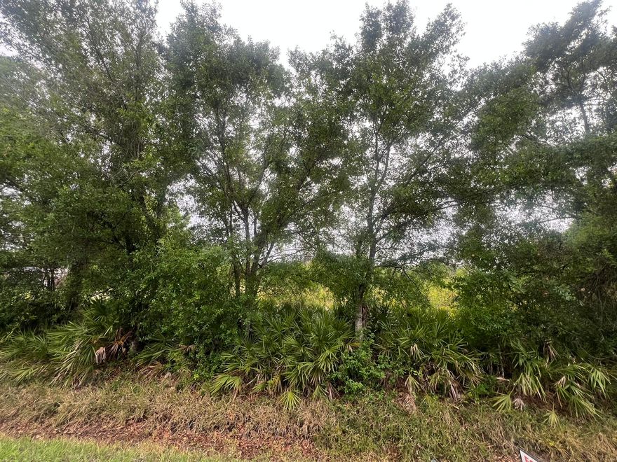 Build your dream home on this .716 acre lot.  This lot approximately 125 feet across the front and 250 feet deep.  Plenty of room for you new home and outdoor living, whether that is a workshop, swimming pool or additional storage.  This lot is in the county, but only a few miles from town, shopping, dining or Lake Okeechobee.  NO HOA.