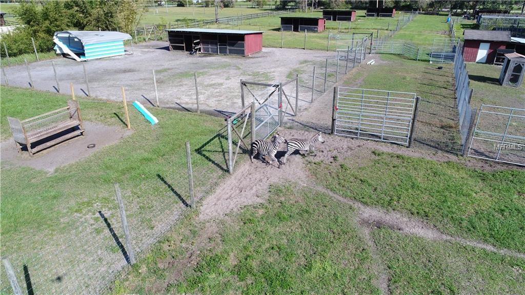 NARCOOSSEE NEW MAP OF - Land