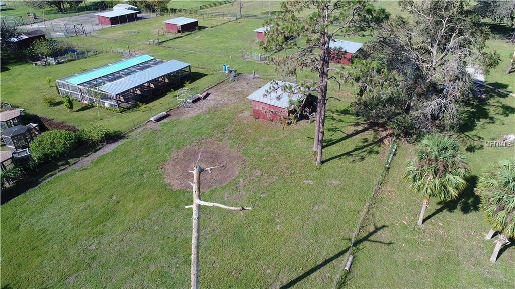 NARCOOSSEE NEW MAP OF - Land