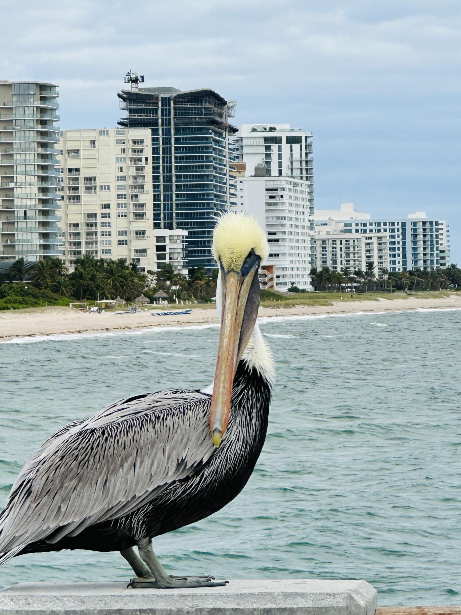 ADMIRALTY TOWERS CONDOMINIUM - Residential