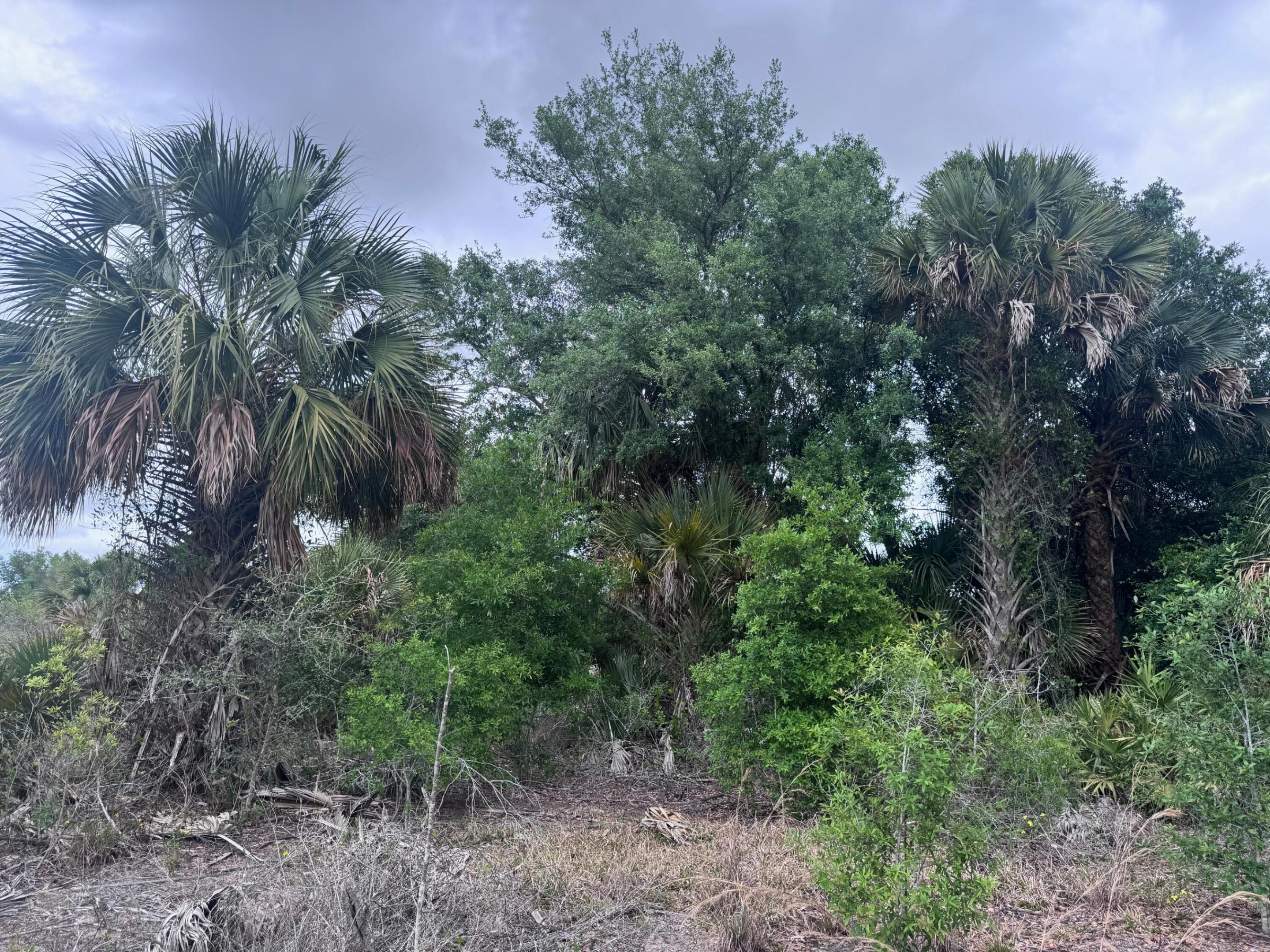 18333 NW 308th Street