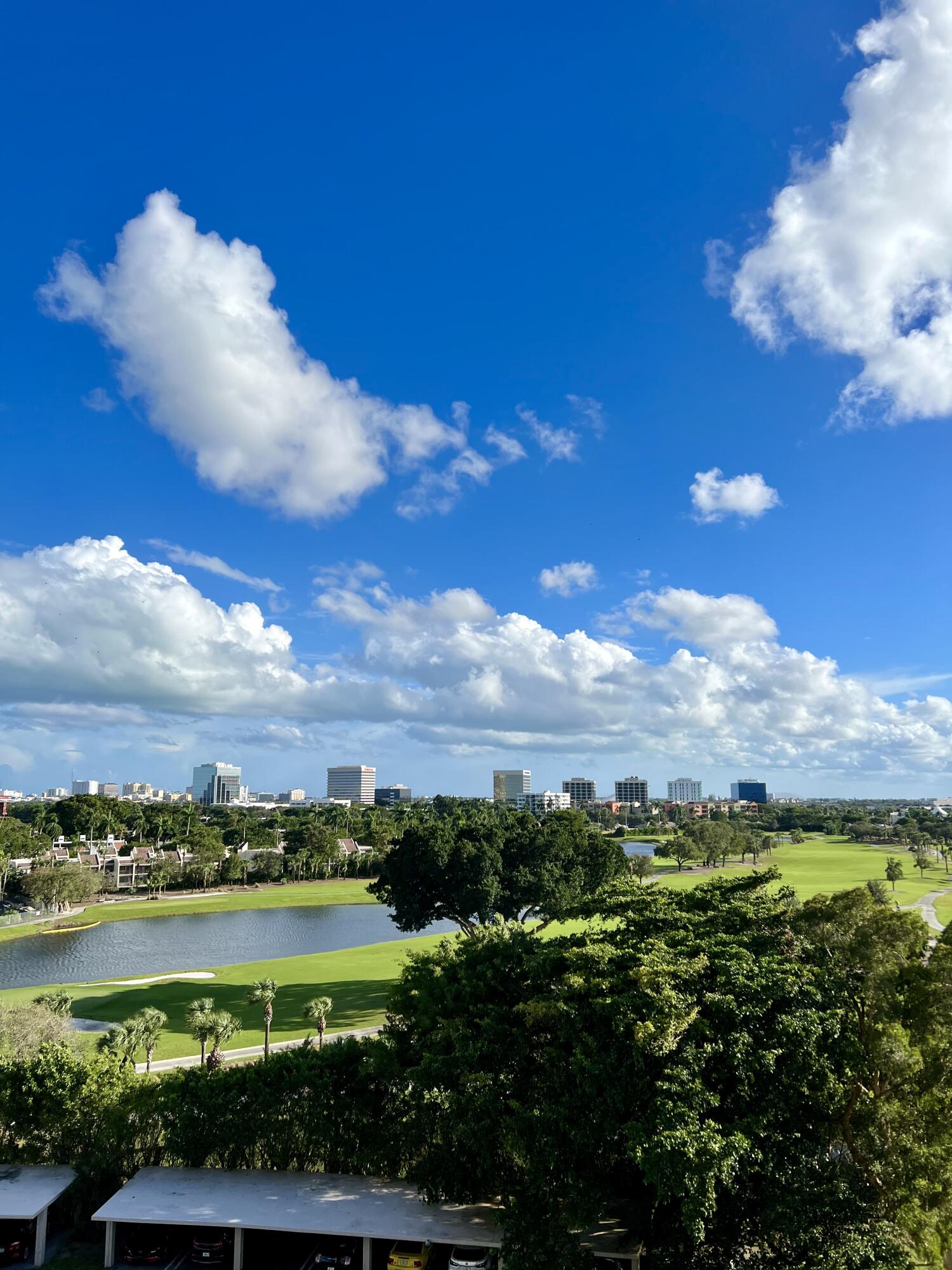 LANDS OF THE PRESIDENT CONDO 7 - Residential