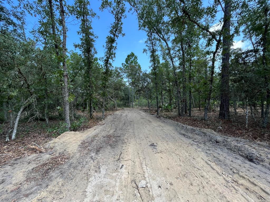 Old Florida at its best, uncleared and undeveloped BEAUTIFUL 1.5 acres high and dry, Residential/ Ag parcel in Palatka WITH Oak, Pines, wild fruit trees and saw palmettos ,Start planning your new single-family home or set up that new mobile home. Owner Financing Available