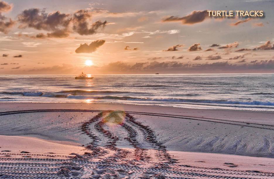 PROSPERITY HARBOR - Residential