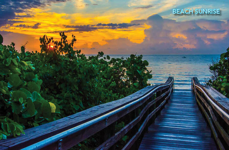 PROSPERITY HARBOR - Residential