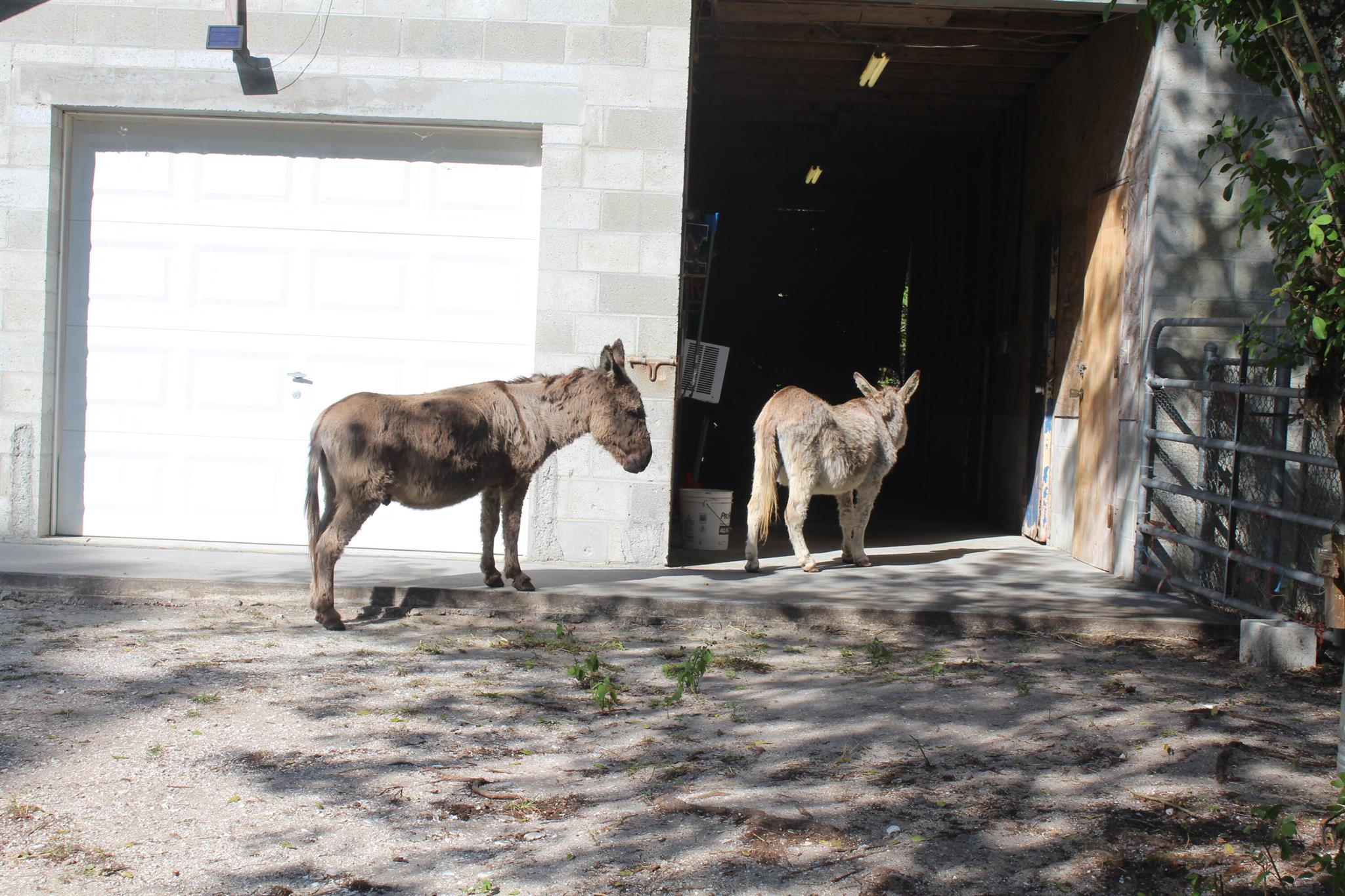 FELLSMERE FARMS CO S/D OF - Residential