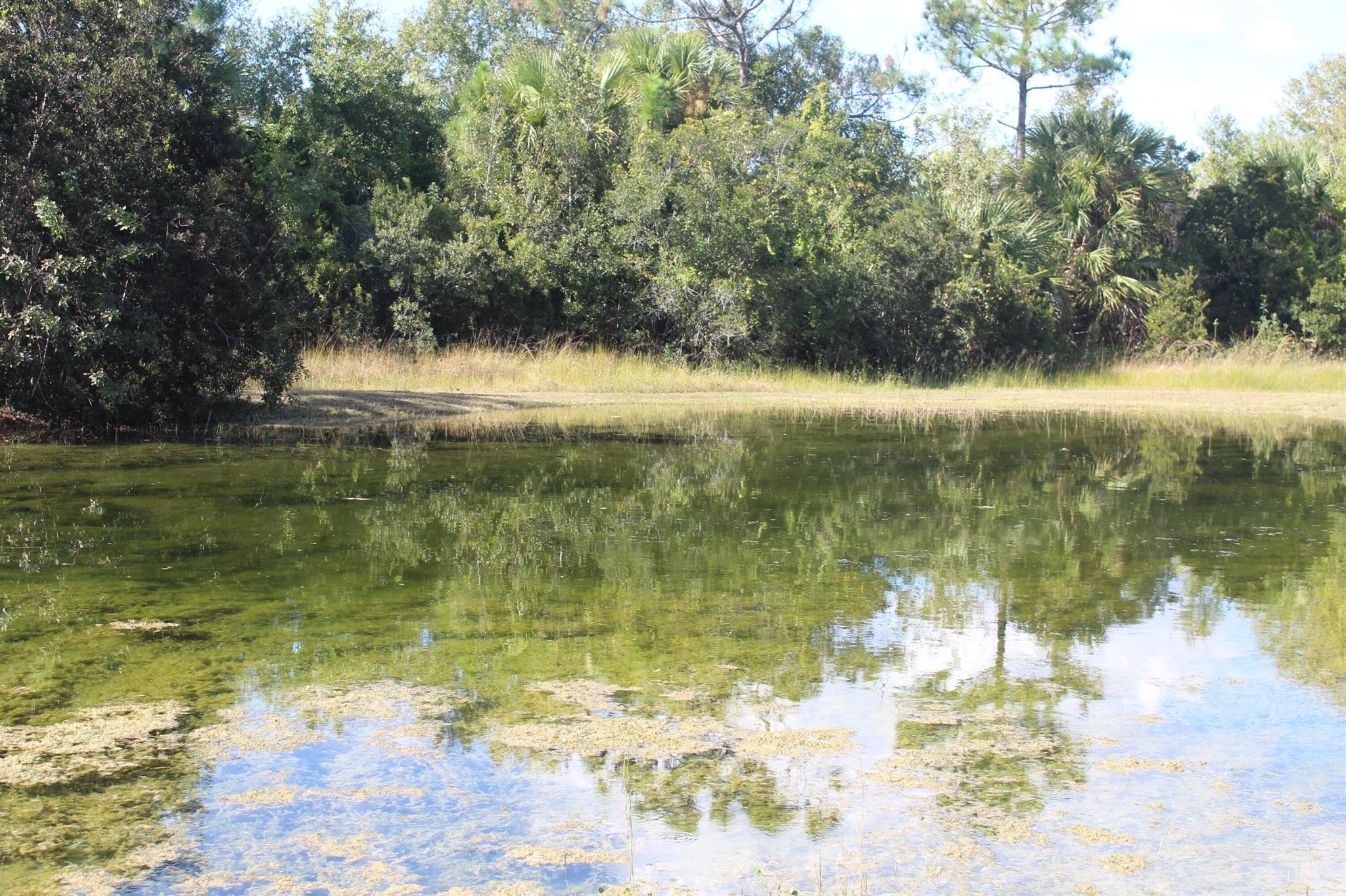 FELLSMERE FARMS CO S/D OF - Residential