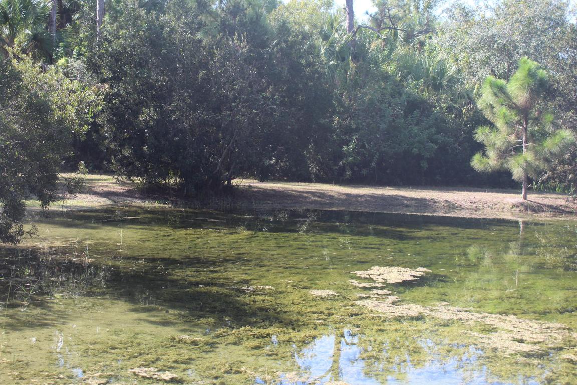 FELLSMERE FARMS CO S/D OF UNSURVEYED TWP 31 RNG 37 - Residential