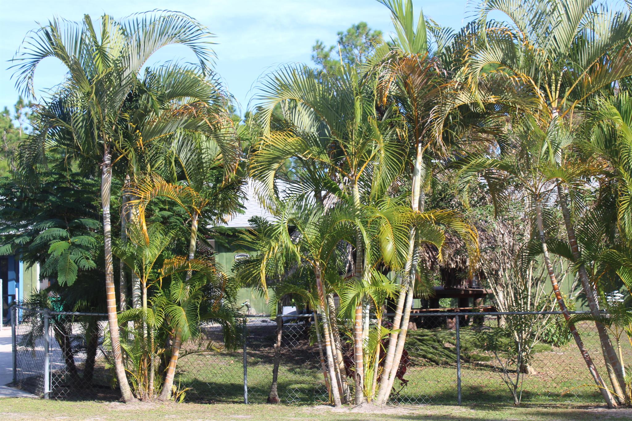 FELLSMERE FARMS CO S/D OF - Residential