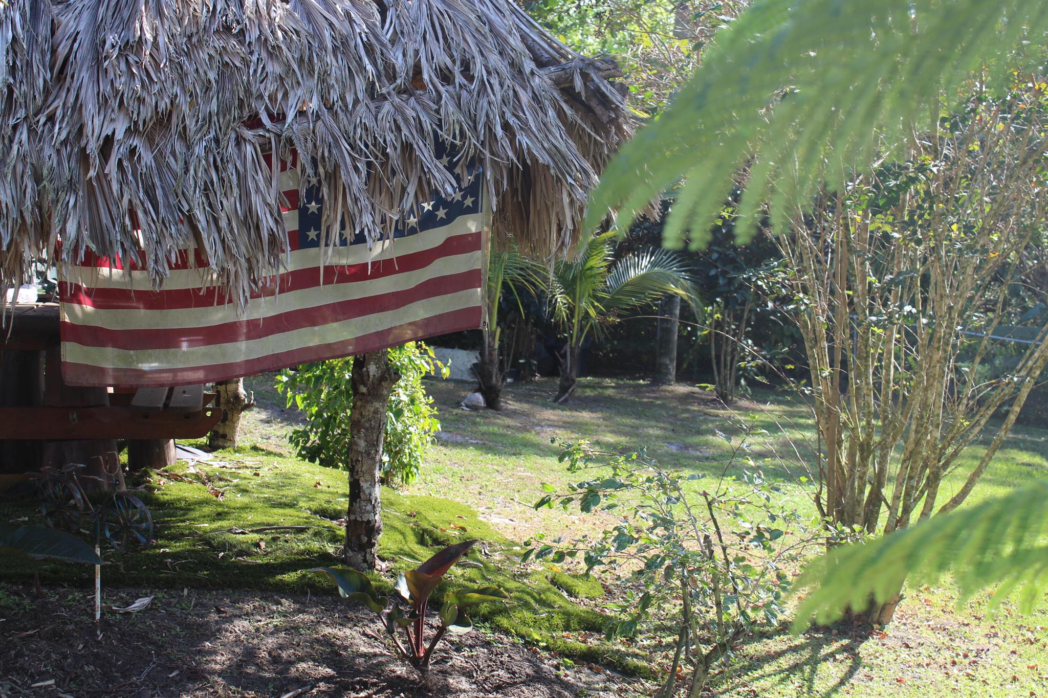 FELLSMERE FARMS CO S/D OF - Residential