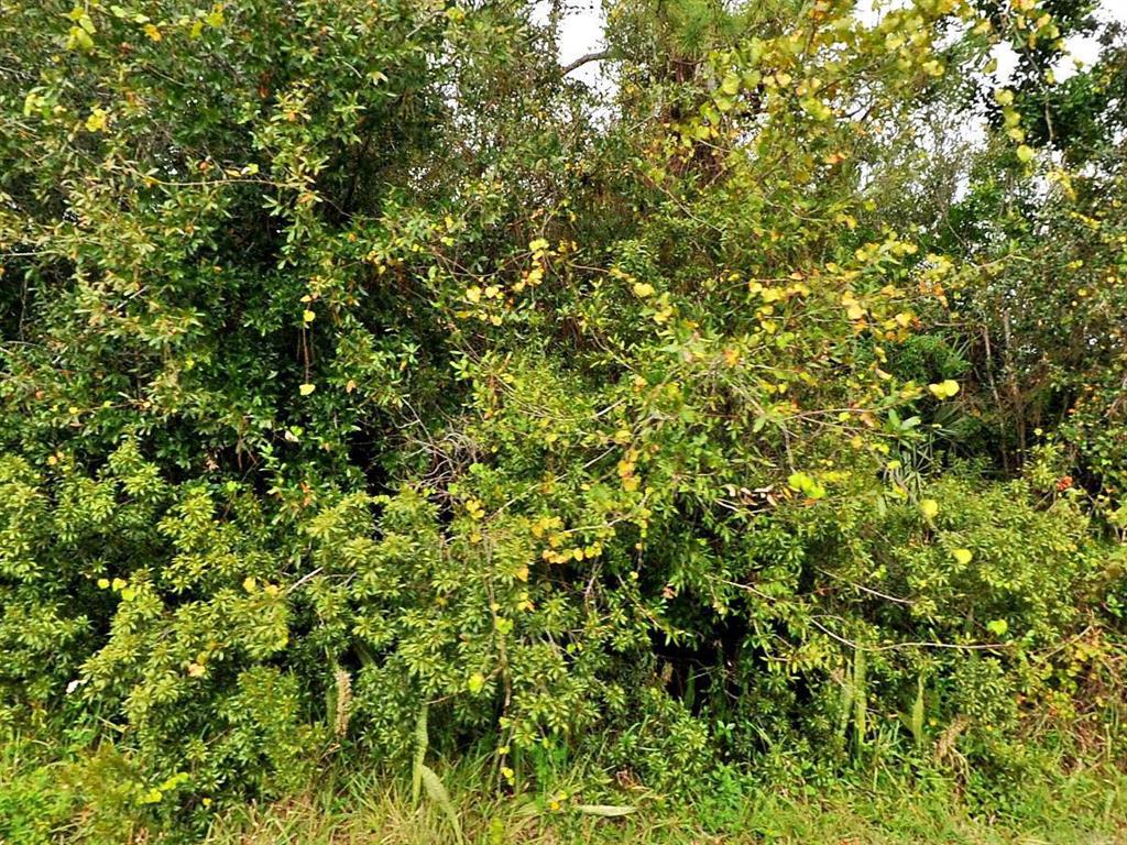 Great oversized CORNER lot! Build your dream home or hold for your future. Close to shopping and the beach.