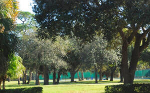 OAKS EAST - Residential