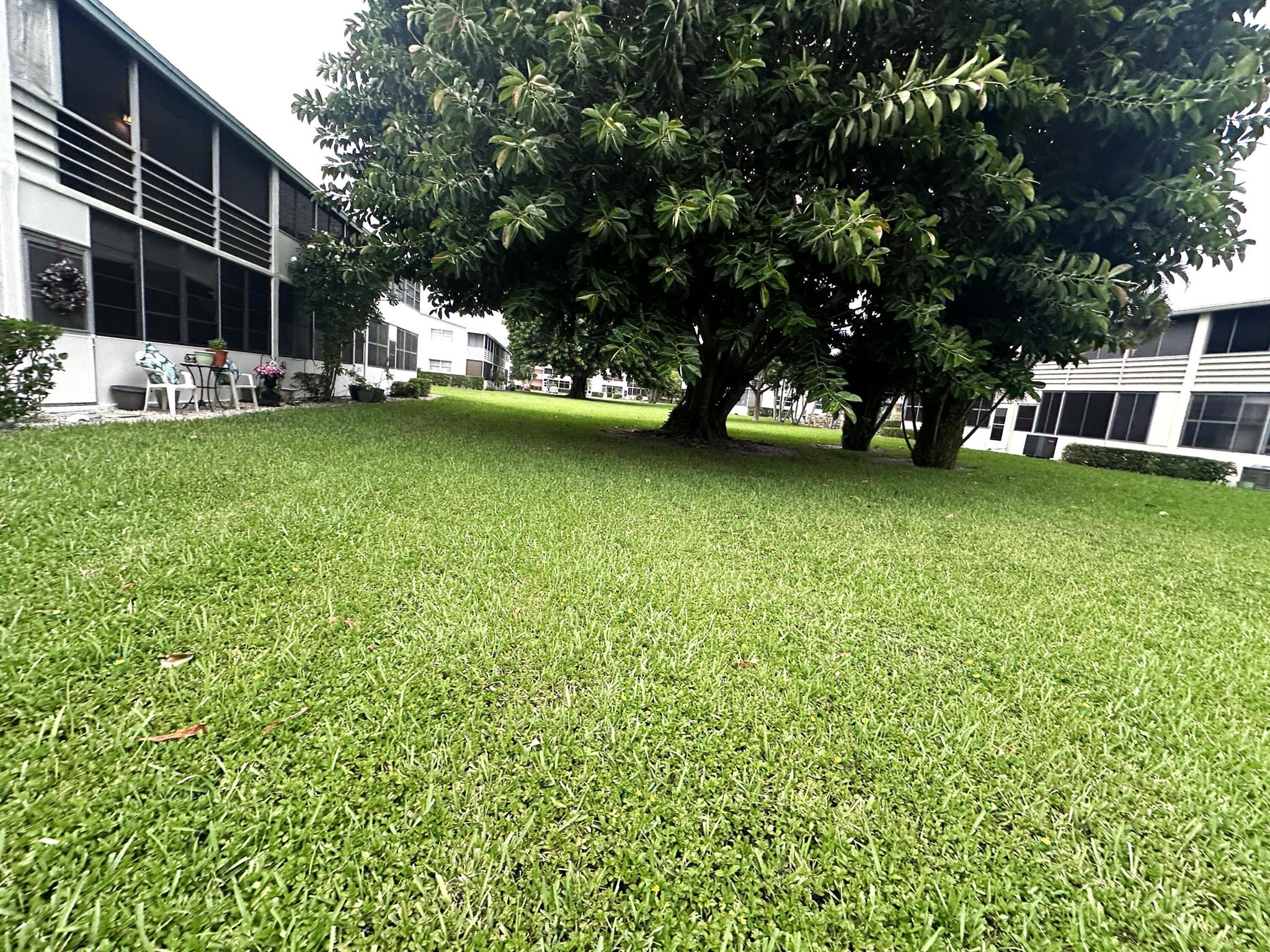 DORCHESTER CONDO - Residential Lease