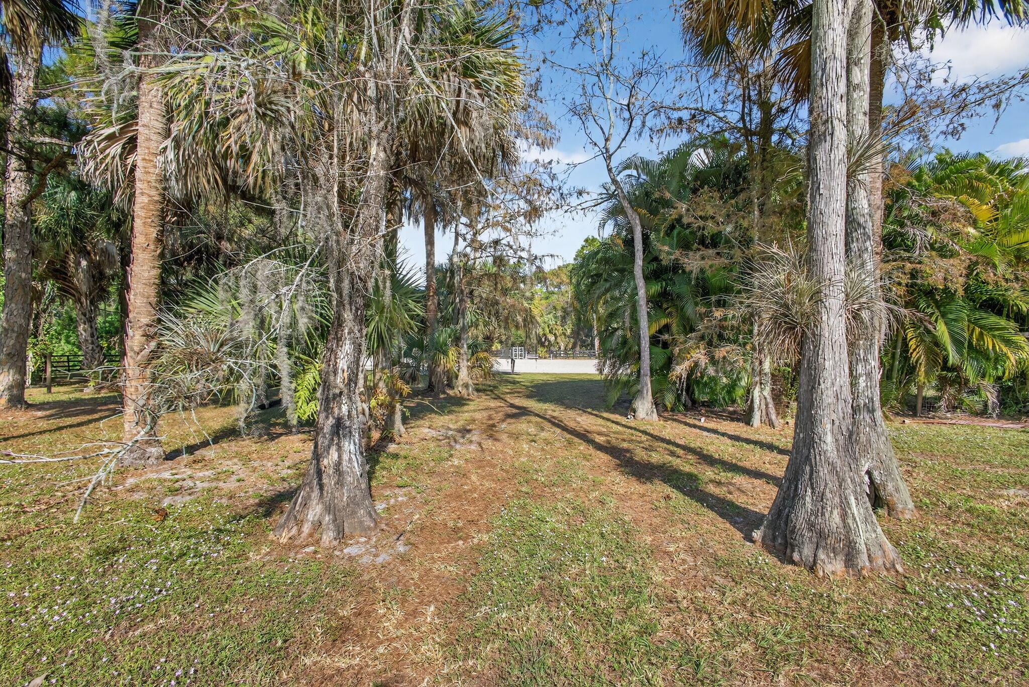 FOX TRAIL - Residential