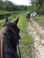 FOX TRAIL - Residential