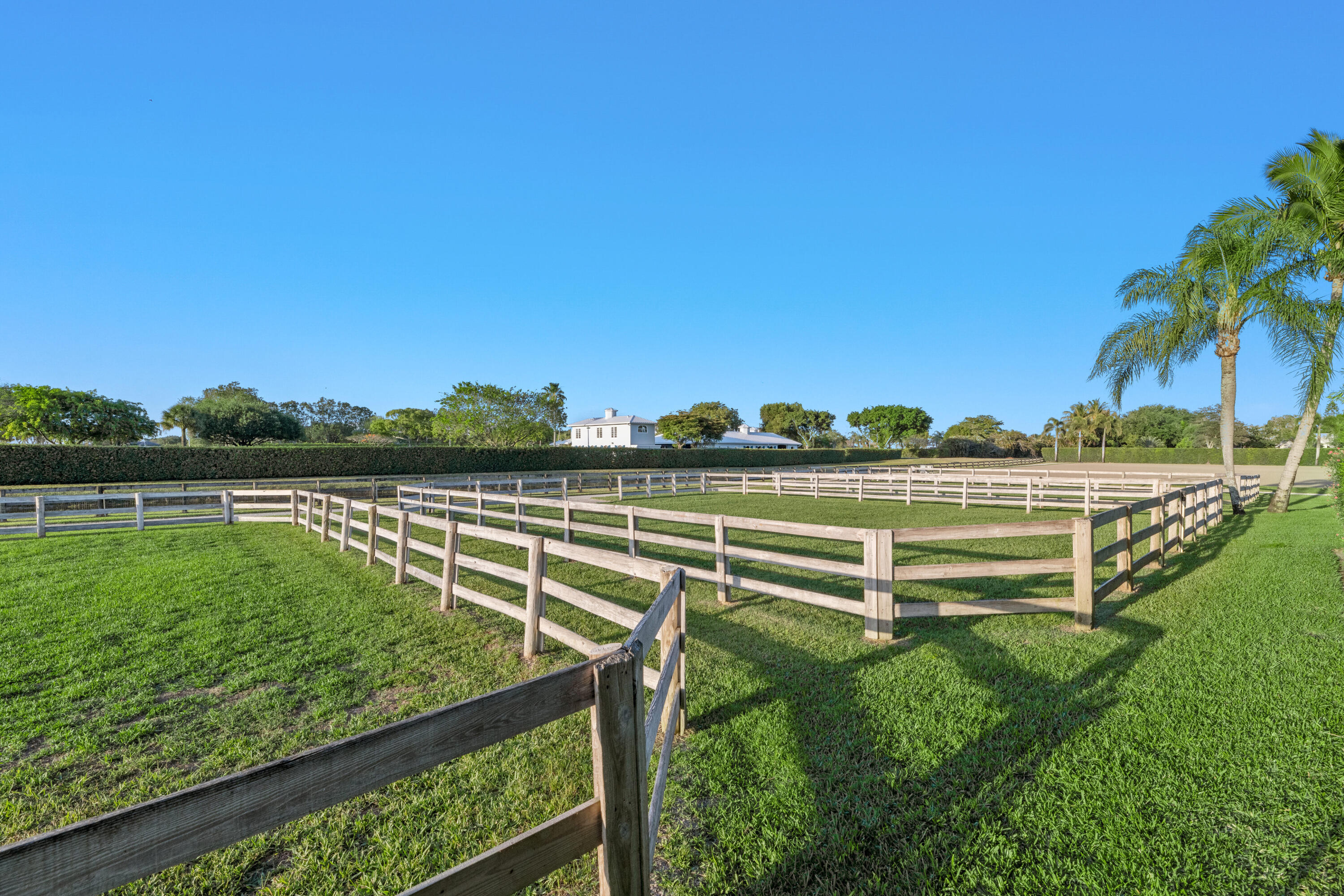 SADDLE TRAIL PARK OF WELLINGTON - Residential