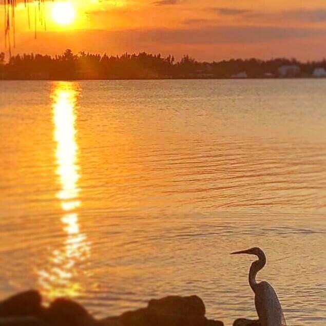 Sebastian, Florida, 32958, United States, ,Land,Active,2006560