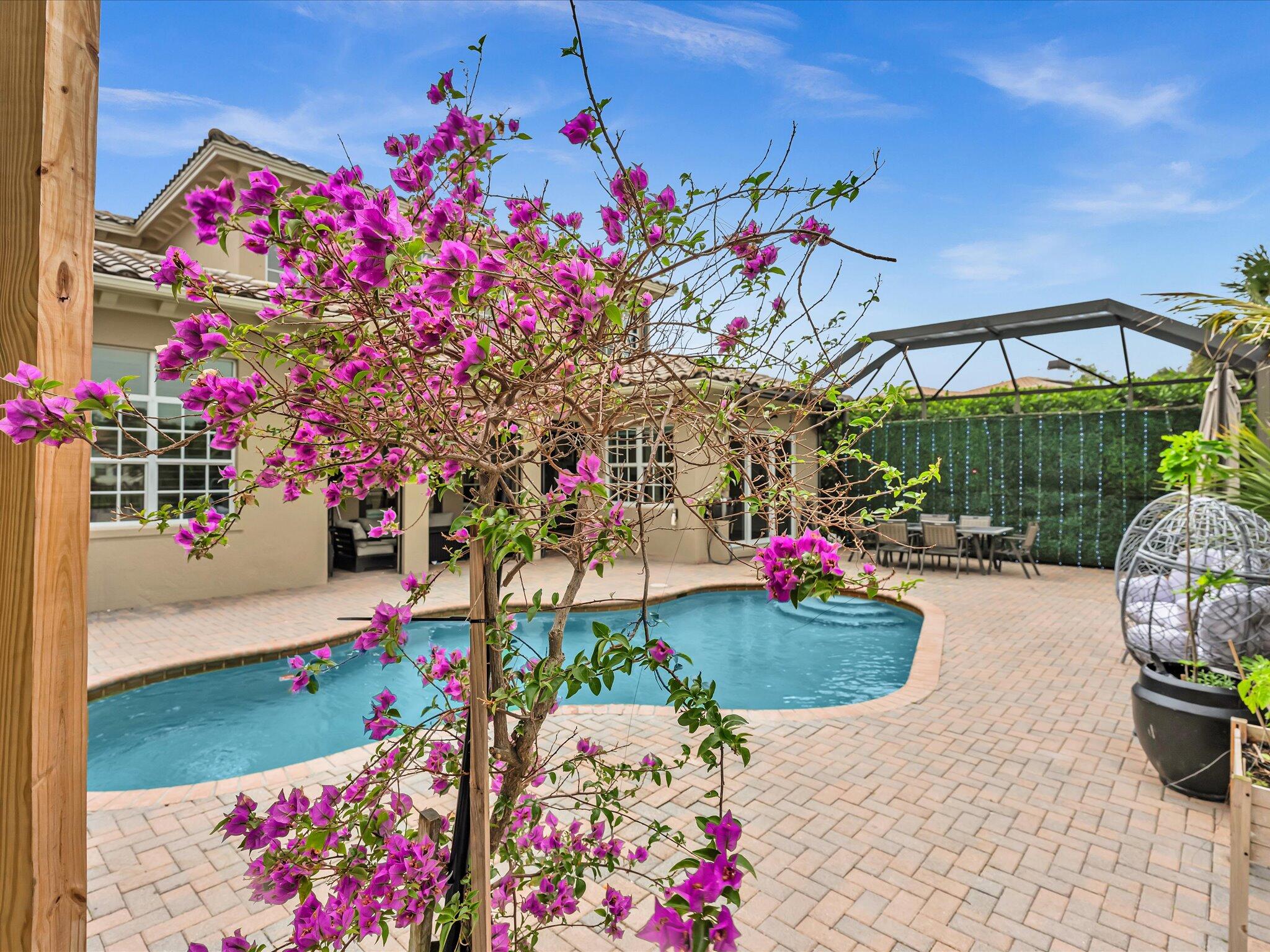 HERON BAY NORTHEAST - Residential