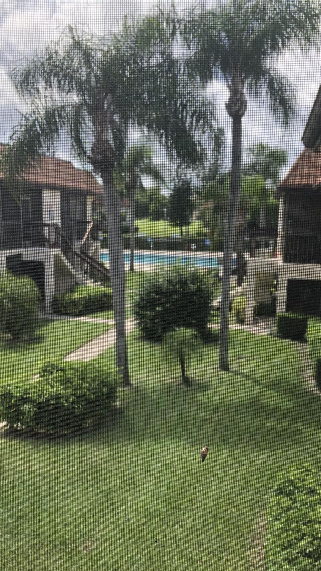 Photo of 7250 Golf Colony Court #204, Lake Worth, FL 33467 (MLS # R11109111)