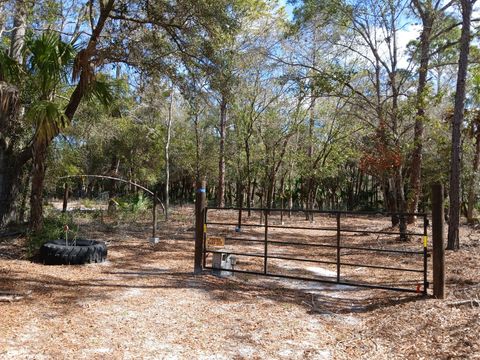 11991 W Flaxen Drive Crystal River FL 34428