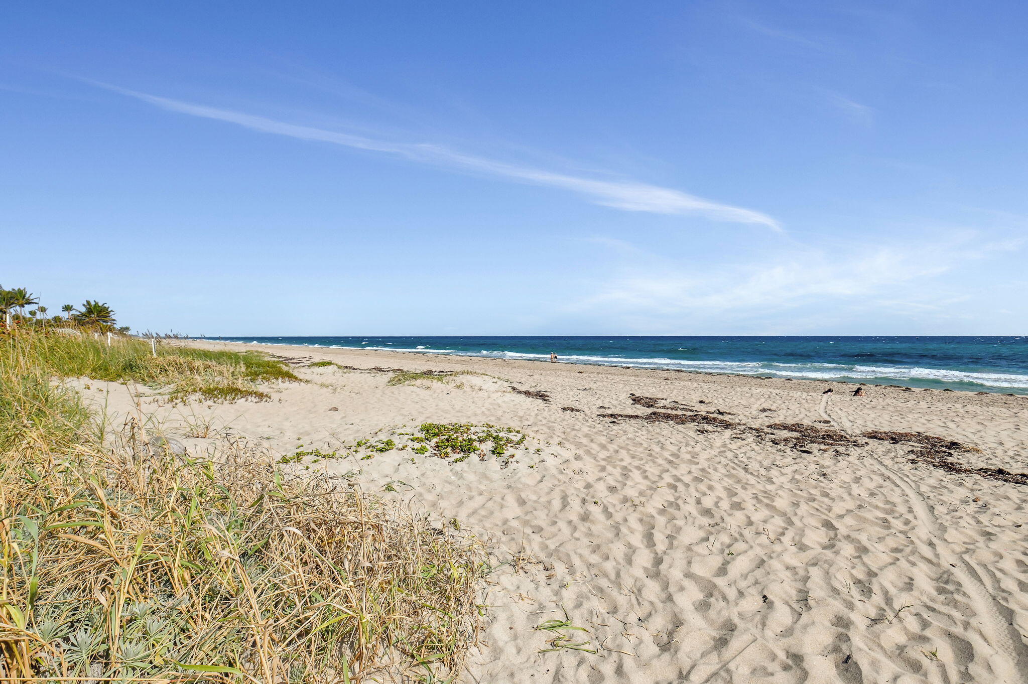 PALM BEACH SHORE ACRES - Residential