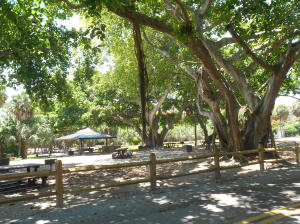 SAN REMO COND DECL - Residential