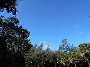 SAN REMO COND DECL - Residential