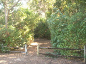 SAN REMO COND DECL - Residential