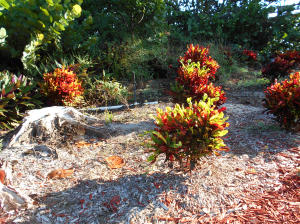 SAN REMO COND DECL - Residential