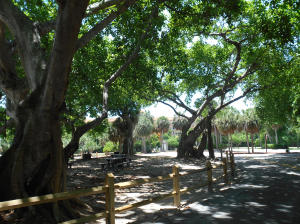 SAN REMO COND DECL - Residential