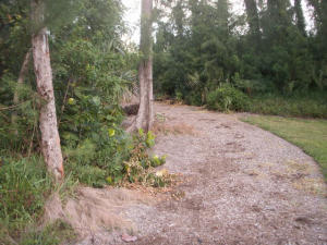 SAN REMO COND DECL - Residential