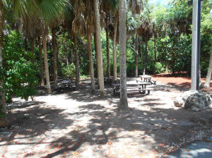 SAN REMO COND DECL - Residential