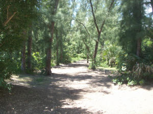 SAN REMO COND DECL - Residential