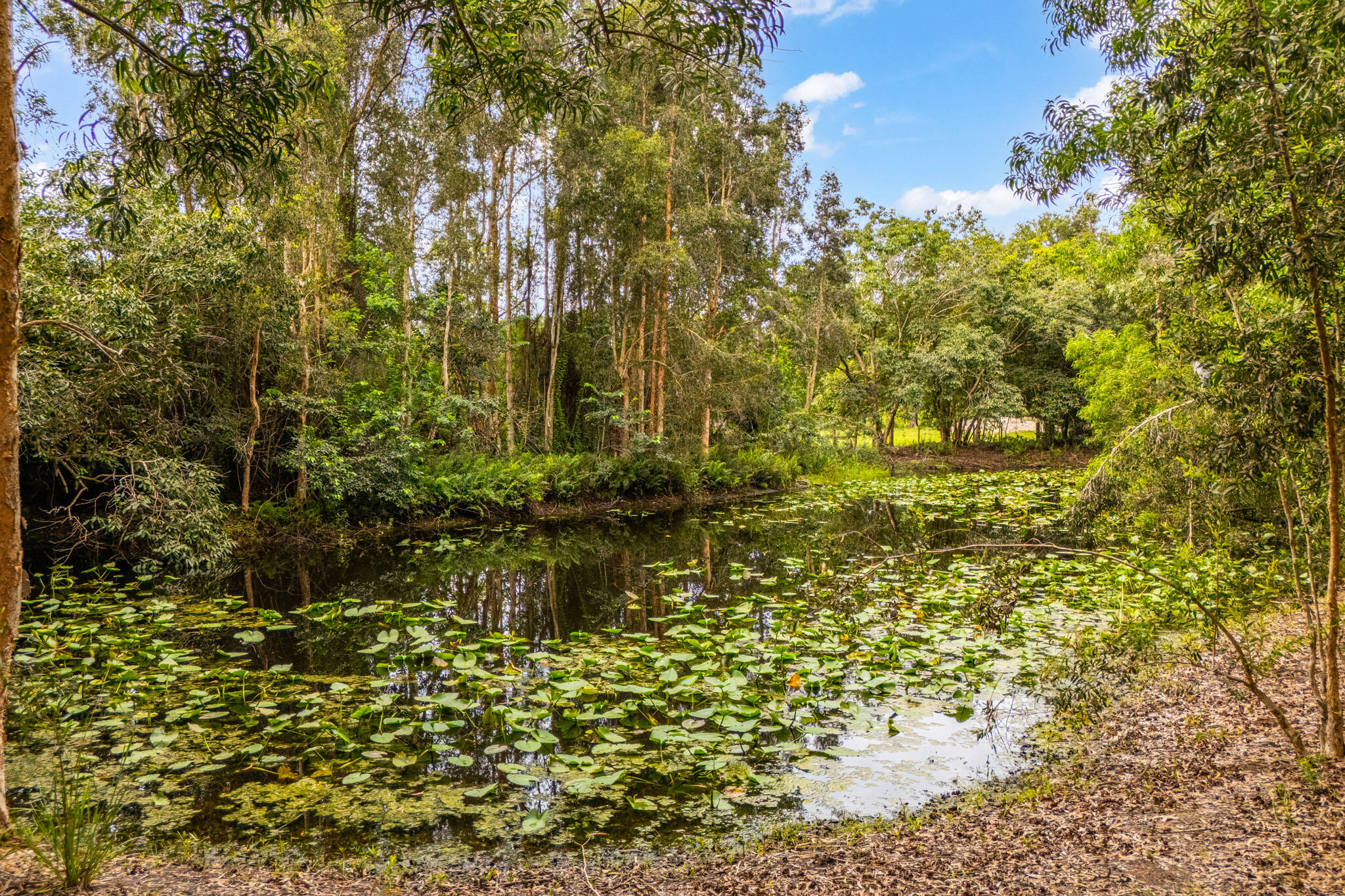 Loxahatchee Groves - Residential
