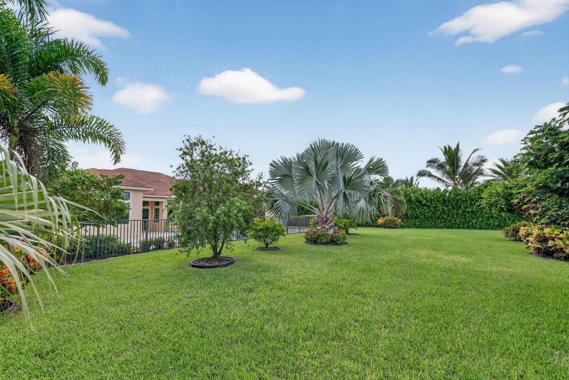 Canopy Creek - Residential