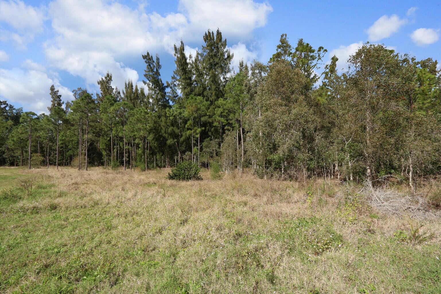 Jupiter Farms - Land