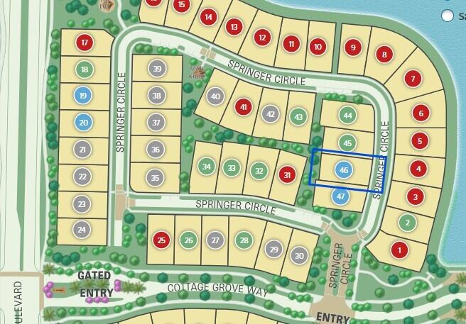 AVONDALE AT AVENIR - Residential