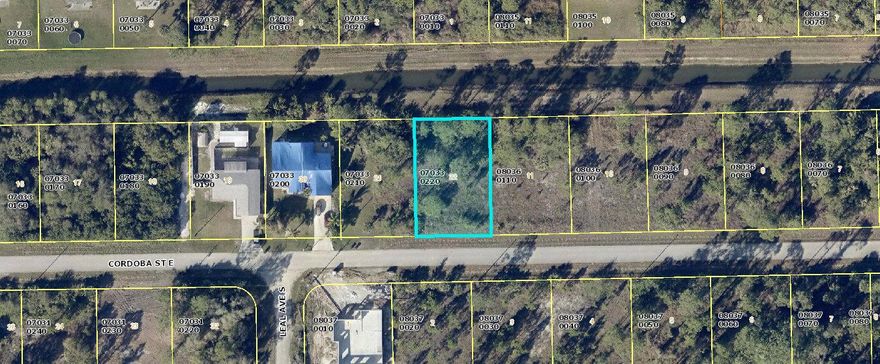 BUILD YOUR CUSTOM HOME ON THIS .23 CANAL LOTS WITH NEIGHBORING HOMES NEARBY.  

PLEASE VERIFY AVAILABLE UTILITIES.

ADJACENT LOT IS FOR SALE (1227 CORDOBA ST E).  PLEASE CALL FOR PACKAGE DEAL INFORMATION.