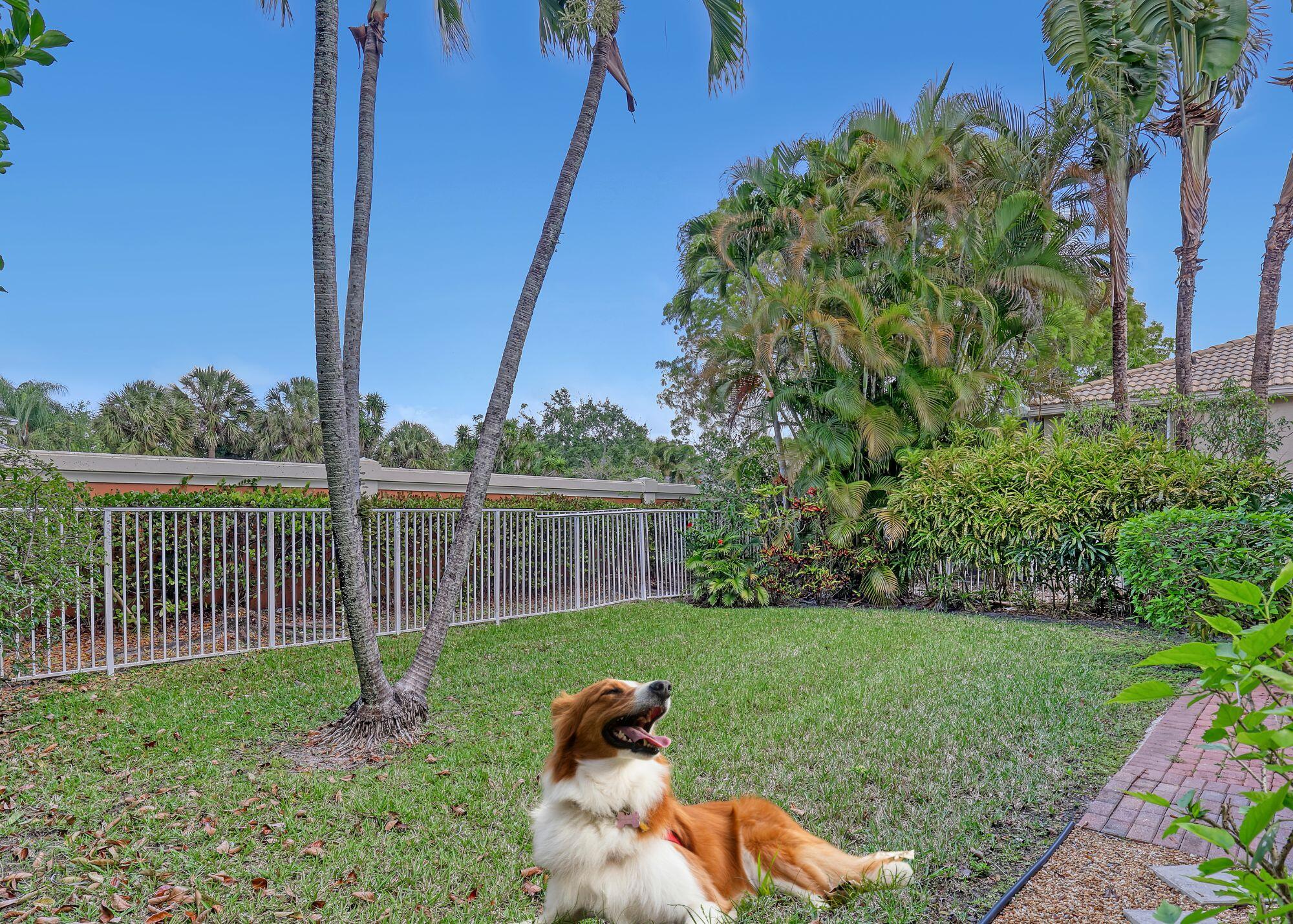 BUENA VIDA - Residential