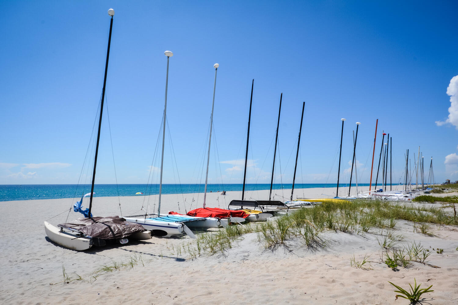 250 S OCEAN Boulevard 261