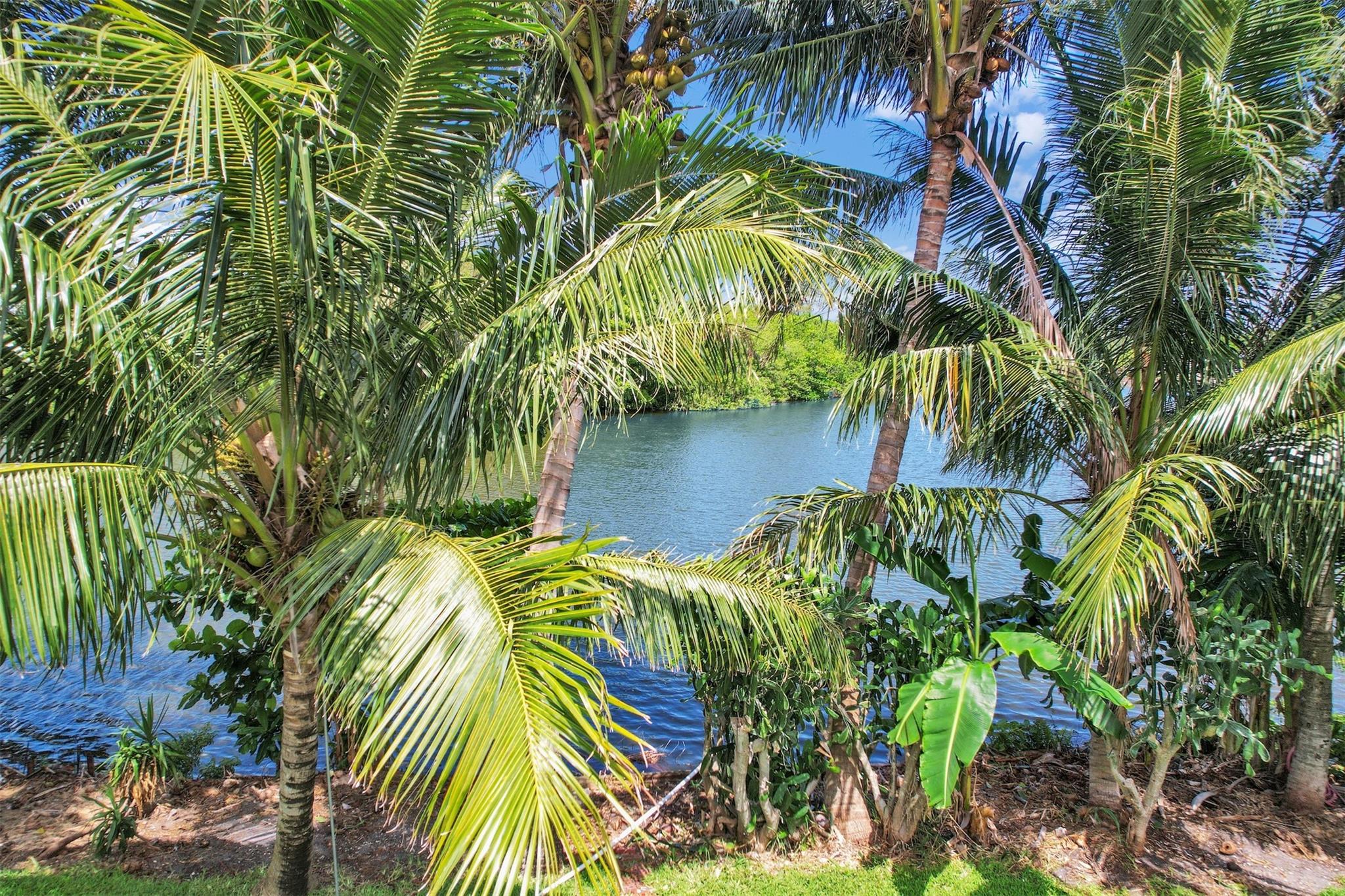 Palm Spgs Village 05 - Residential