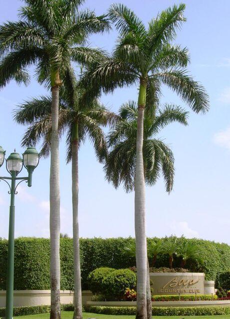 EASTBROOKE COACH HOMES CO - Residential Lease