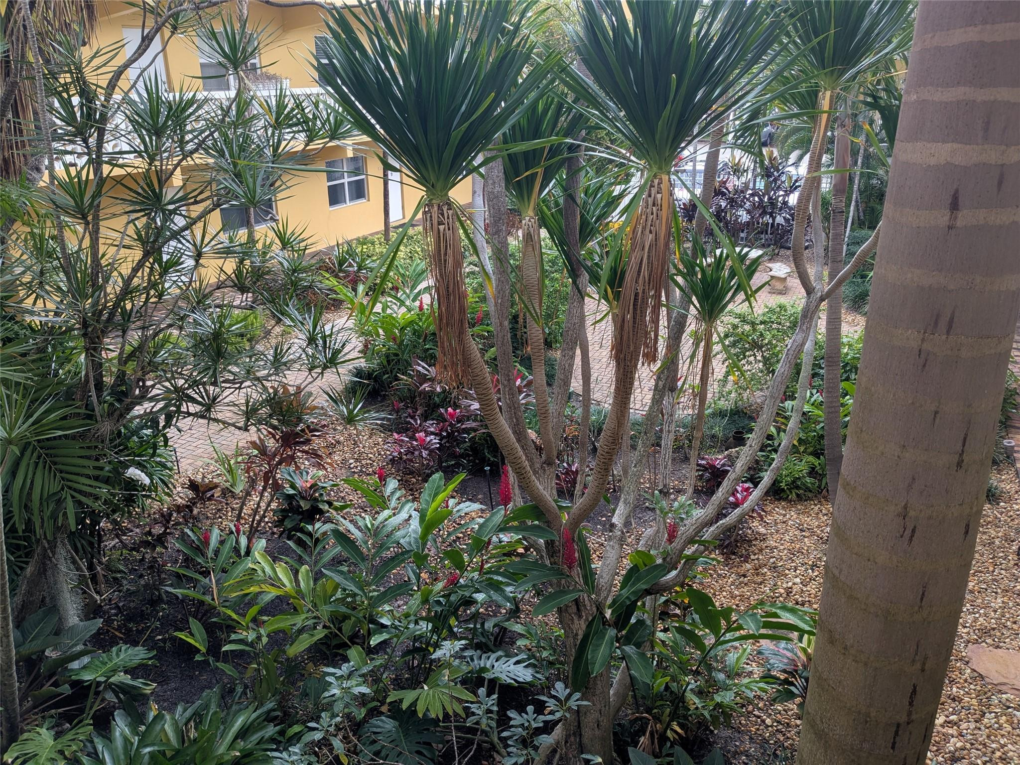 Middle River Villas - Residential