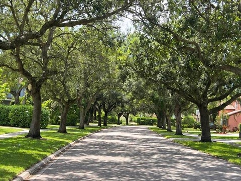 Tiny photo for 6211 NW 58th Way, Parkland, FL 33067 (MLS # B26073271)