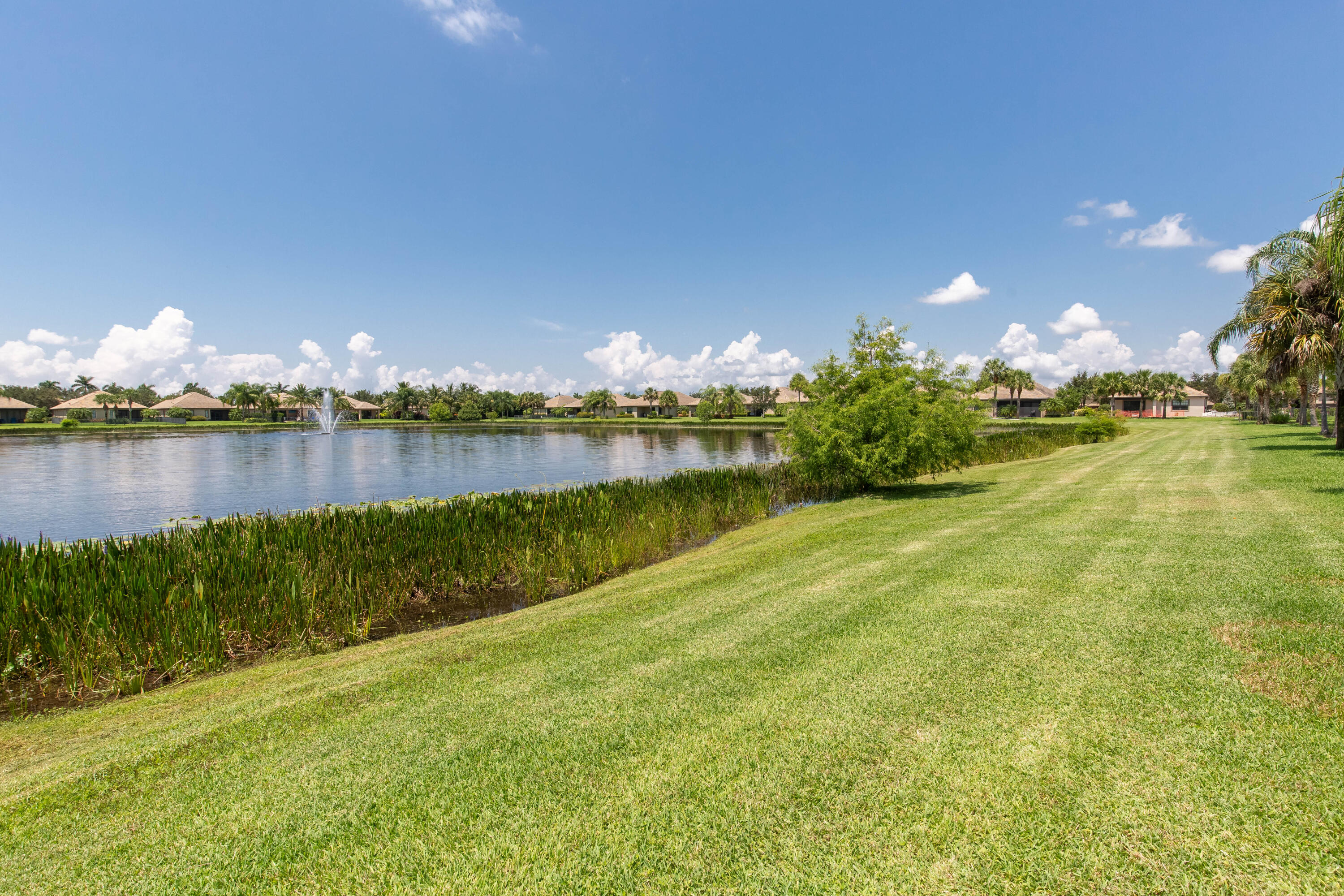 CASTELLINA - Residential