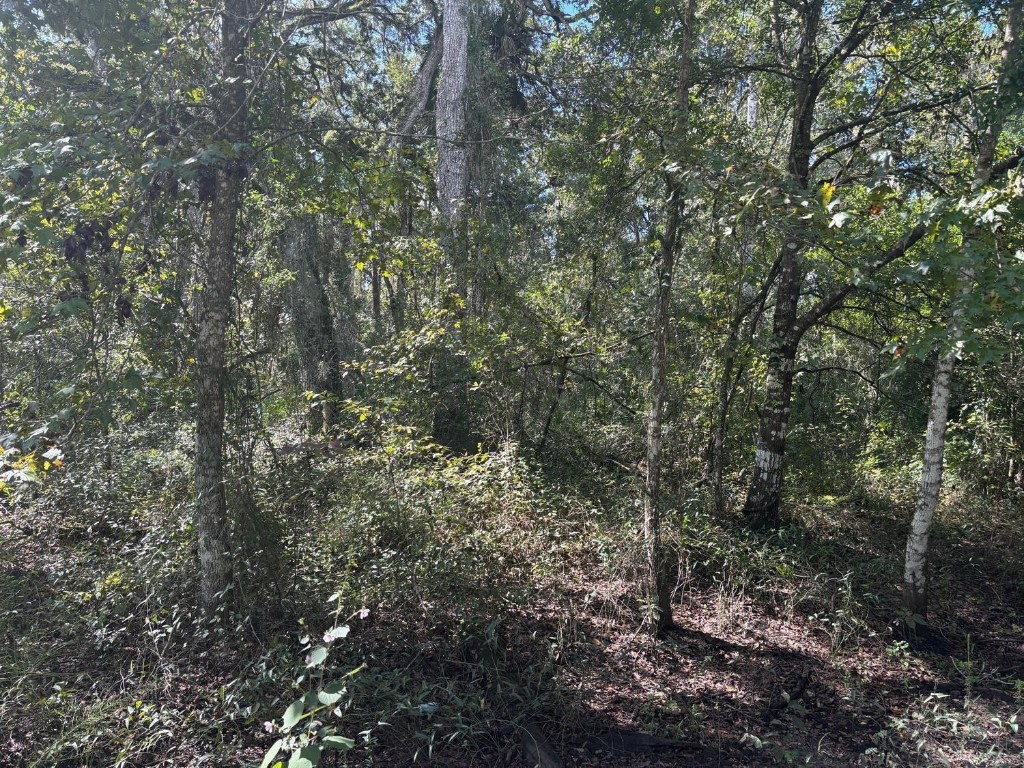Rancho Bonito RB32 - Land