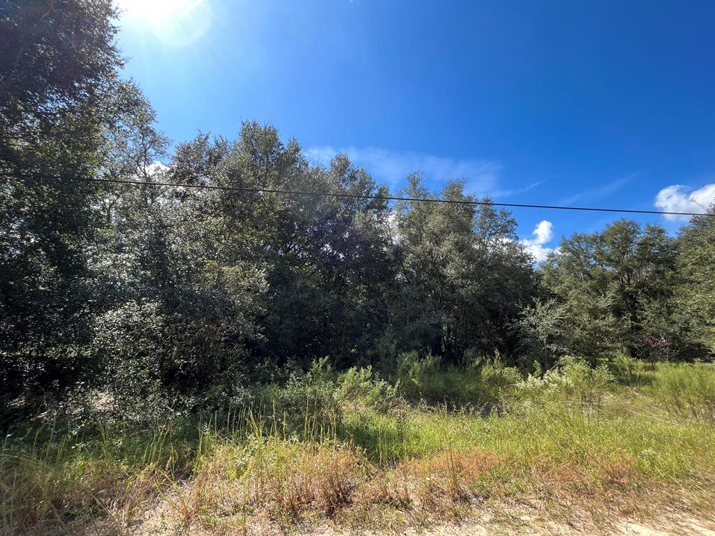 BIG TREE LAKES SEC B - Land