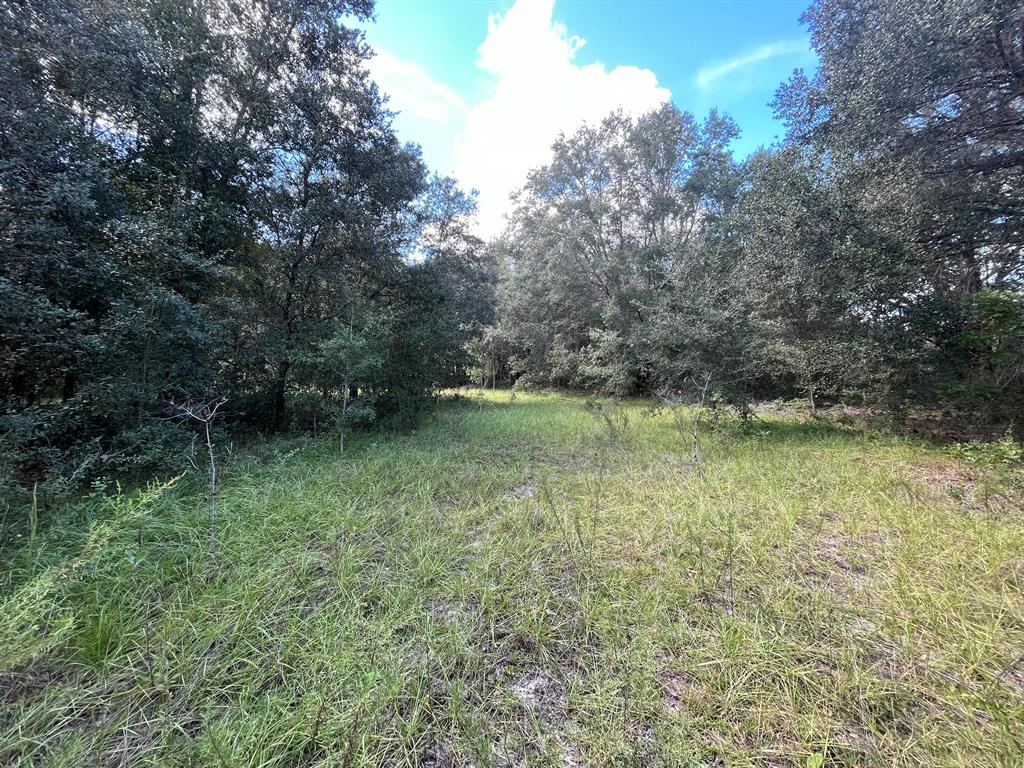 BIG TREE LAKES SEC B - Land