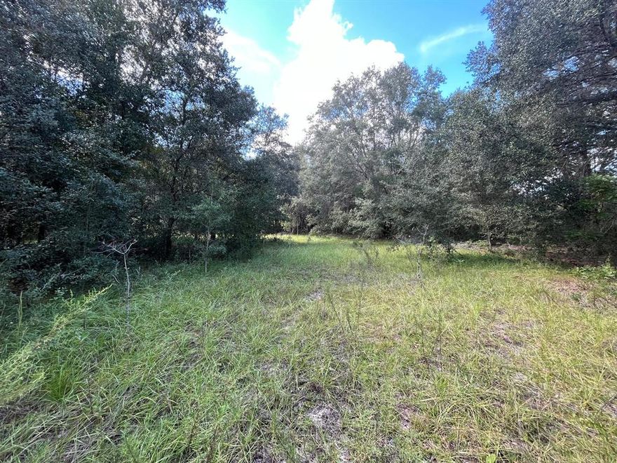 GREAT LOCATION!! Build your new home or place your mobile home. This beautiful lot is located in an area close to many lakes, springs and the St John's River. This lot has a lot of potential for people that love water life or just want peace and quiet. It is a wooded lot but easy to clear there are some beautiful homes around it but yet still private. Keystone Heights. Centrally located between Gainesville, Jacksonville, Starke and Palatka. Start enjoying all that keystone Heights has to offer. There is the Palatka to Lake Butler bike trail, restaurants, golf course. private airport, and Keystone Heights very own beach that offers paddle board rentals. Owner Financing Available