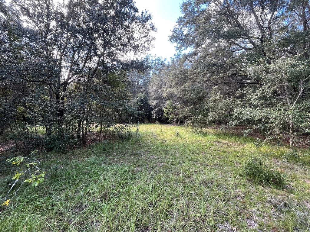 BIG TREE LAKES SEC B - Land